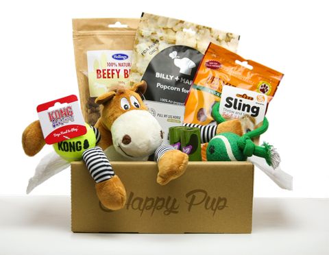 Round-up of the best dog subscription boxes to buy