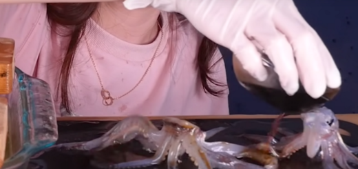 YouTuber Ssoyoung criticised for mukbang video eating live squid and octopus