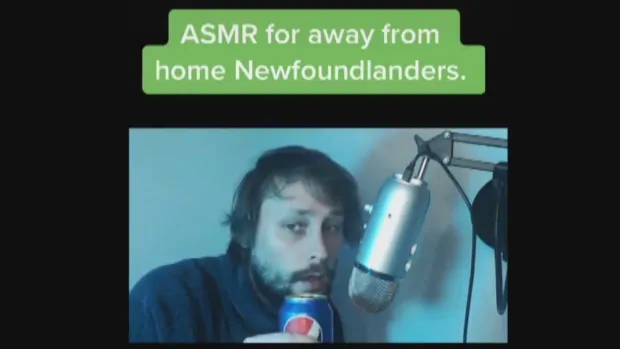 Creator of ASMR video 'flabbergasted' by support, hopes it brings joy to N.L. expats