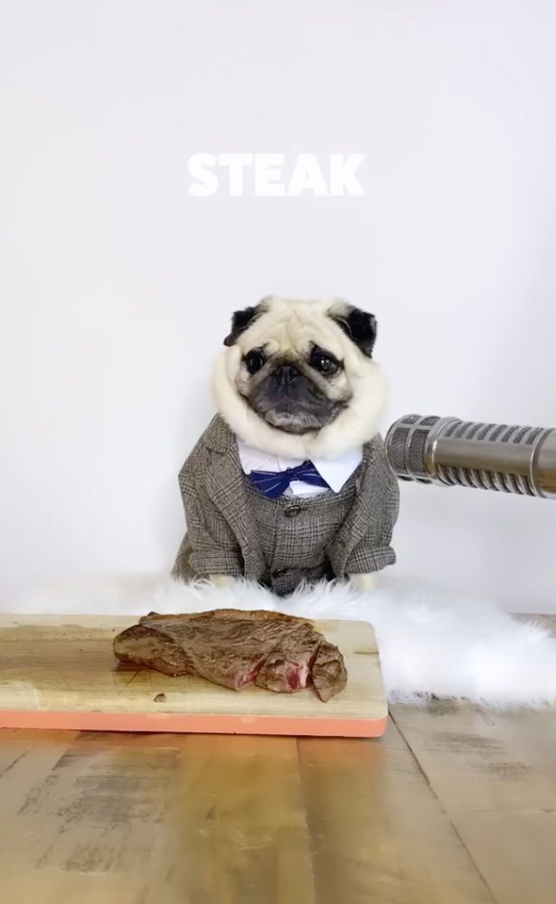 Puggy gained a lot of followers for bringing immersive experience to his fans through eating