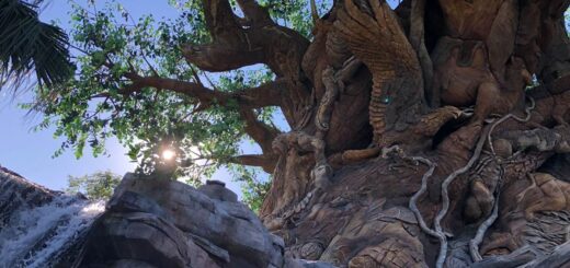 Disney's Animal Kingdom Releases Nature Sounds ASMR Video To Celebrate Earth Day