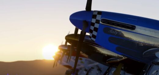 MICROSOFT FLIGHT SIMULATOR Soars Into Competitive Sky Racing